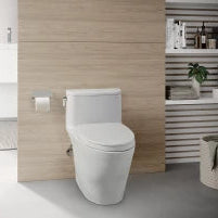 Tropic Elongated One-Piece Toilet